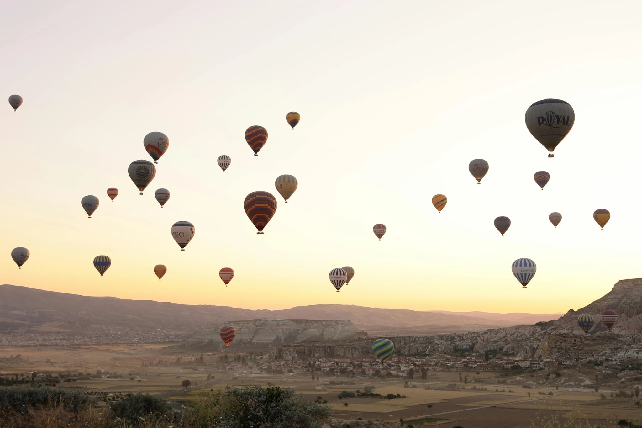Panoramic View of Hot Air Balloons